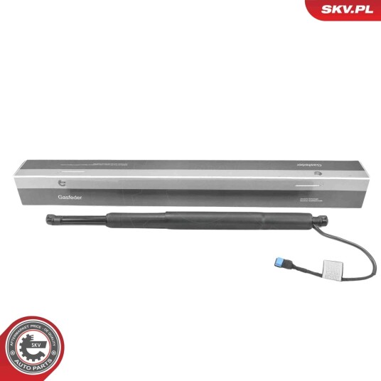 Elektromotor bakluke ESEN SKV 52SKV839