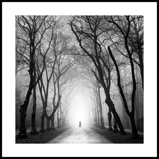 Cyclist Poster Plakat / 50x50cm