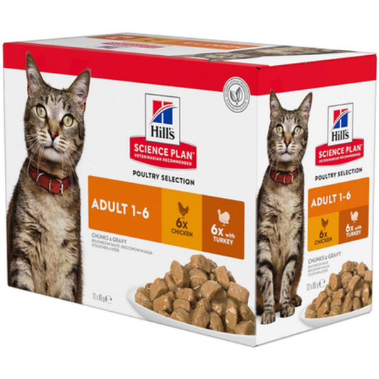 Adult Chicken Turkey Pouch Wet Cat Food 48 X 85 G Katt Helse Og Pels Kosttilskudd Våtfôr Hills Science Plan Adult Chicken Turkey Pouch Wet Cat Food 48 X 85 G Katt Helse Og Pels Kosttilskudd Våtfôr Hills Science Plan