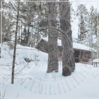 Bengans Panopticon - The Scars Of Man On The Once Namele