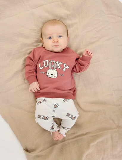 The New Tnsbpheba Sweatshirt Pink 56