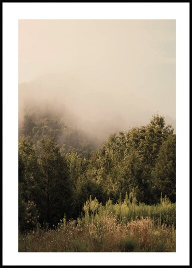 Foggy Forest Plakat Plakat / 70x100cm Foggy Forest Plakat Plakat / 70x100cm