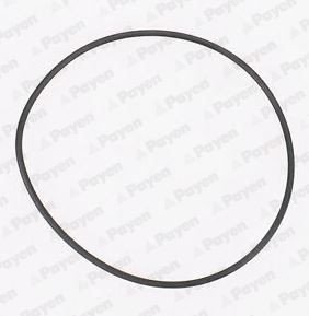 PAYEN KA845 Pakning vannpumpe PAYEN KA845 Pakning vannpumpe