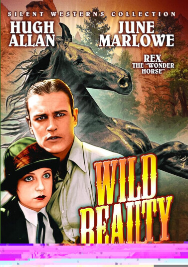 Wild Beauty 1927 DVD