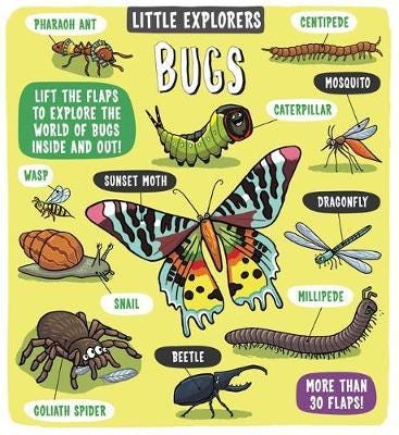 Little Explorers: Bugs Little Explorers: Bugs