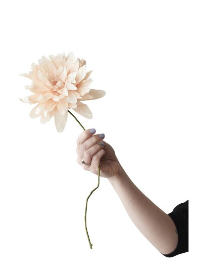 Studio About Paper Flower   Beige   L:46.0CM