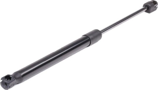RIDEX 219G0472 Baklukedemper