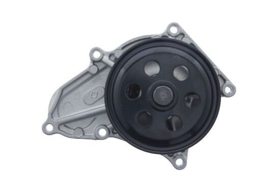 VALEO 529669 Vannpumpe