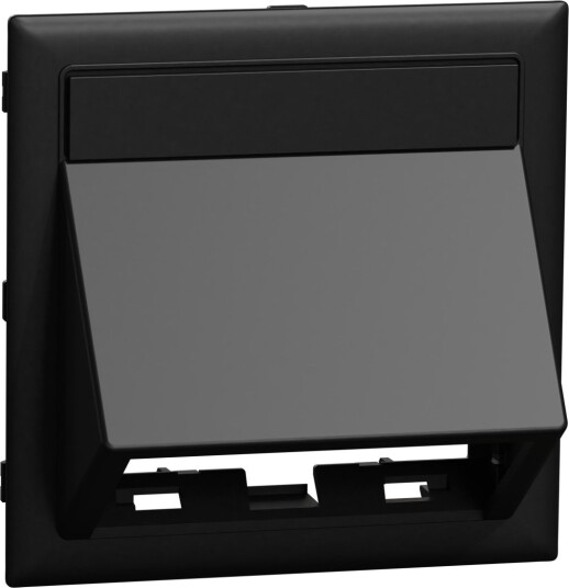 Schneider Electric INS60703 Datalokk Vinklet, Svart