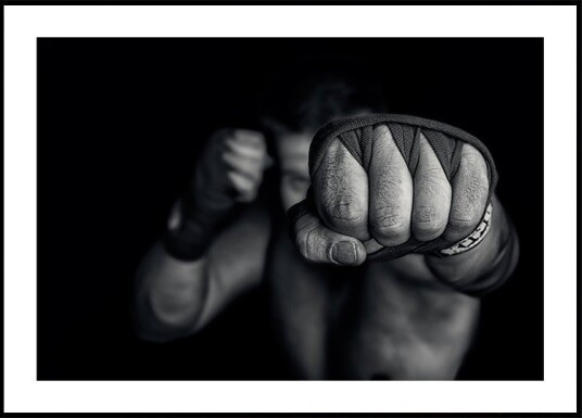 left wing Plakat / 70x100cm left wing Plakat / 70x100cm
