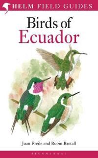 Birds Of Ecuador Av Robin Restall, Juan Freile