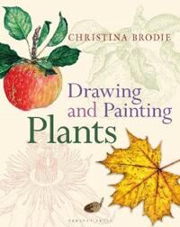 Drawing And Painting Plants Av Christina Brodie