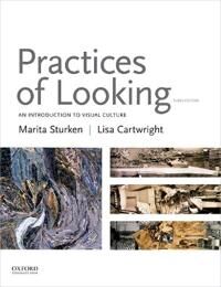 Sturken, Marita Practices of Looking (019026571X)