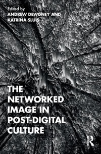 The Networked Image In Post-Digital Culture