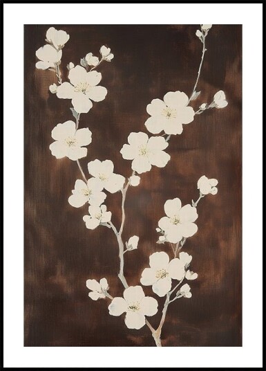White Cherry Blossom Brown Background Plakat Plakat / 100x150cm