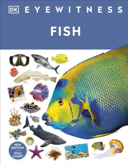Fish Av Dk