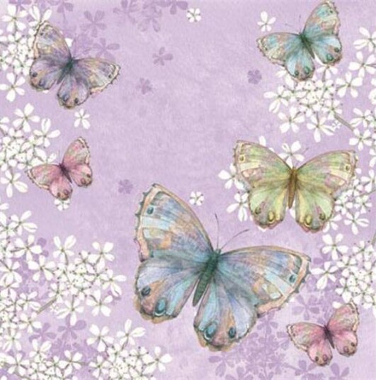 Lunsj serviett Bellissima Farfalla lilla ti-flair Lunsj serviett Bellissima Farfalla lilla ti-flair