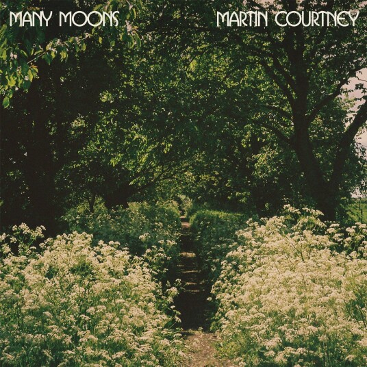 Martin Courtney Many Moons LP/Vinyl