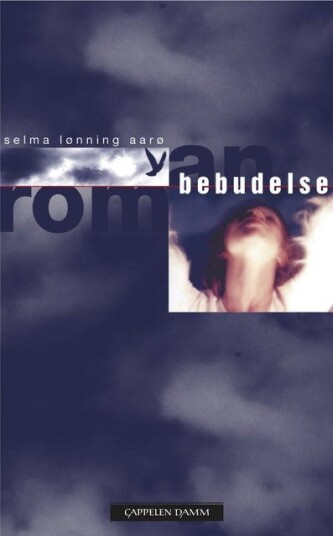 Bebudelse roman