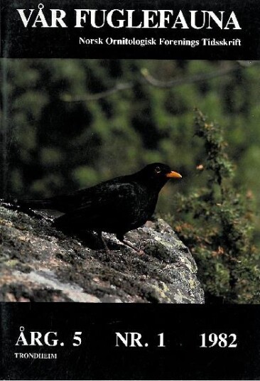 Norsk Ornitologisk Forening Vår Fuglefauna   1982 1 årgang 5