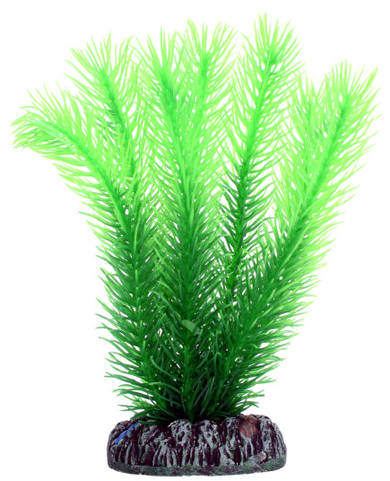 Plastplante Mayaca 16 cm Plastplante Mayaca 16 cm
