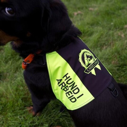 Canelana Markeringsdekken Hund i Arbeid Small - Slitesterk Softshell