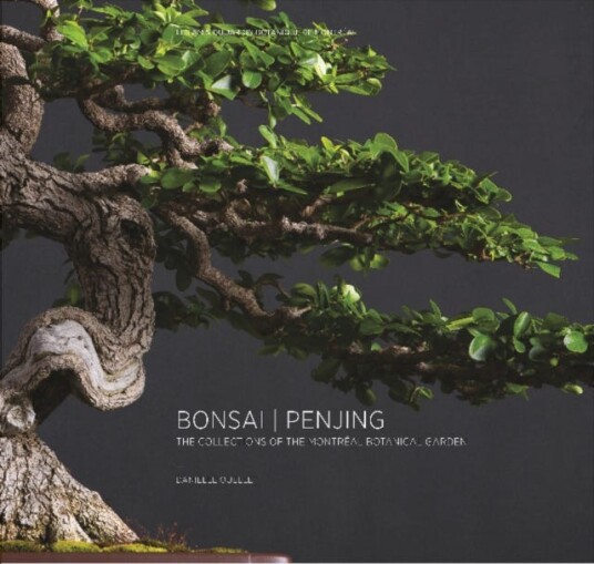 Bonsai / Penjing Av Danielle Ouellet