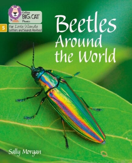 Beetles Around The World Av Sally Morgan