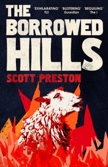 The Borrowed Hills 'A suckerpunch of a novel' Guardian The Borrowed Hills 'A suckerpunch of a novel' Guardian
