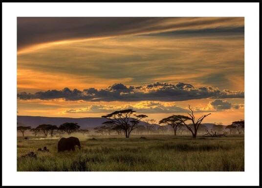 Africa Plakat Plakat / 21x30cm