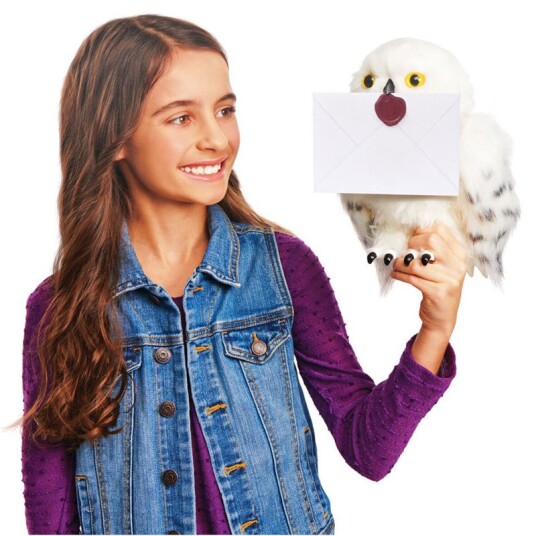 Harry Potter Utkledning Harry Potter Forheksede Hedwig