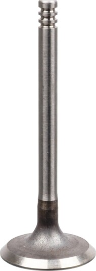 Innløpsventil FEBI BILSTEIN 21210