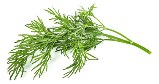 Click and Grow Smart Garden Refill 3-pack Dill SGR49X3 Click and Grow Smart Garden Refill 3-pack Dill SGR49X3