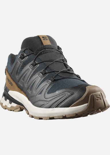 Salomon XA PRO 3D V9 GTX LIFELONG