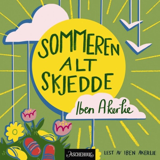Sommeren alt skjedde av Iben Akerlie