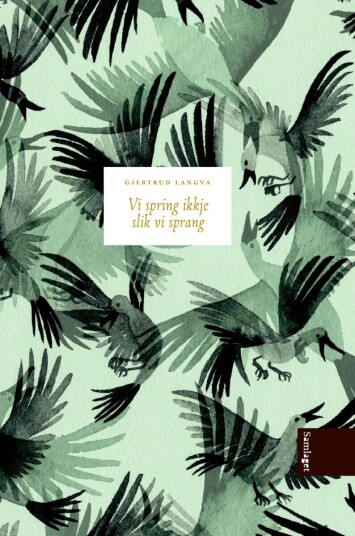 Vi Spring Ikkje Slik Vi Sprang Av Gjertrud Langva Vi Spring Ikkje Slik Vi Sprang Av Gjertrud Langva
