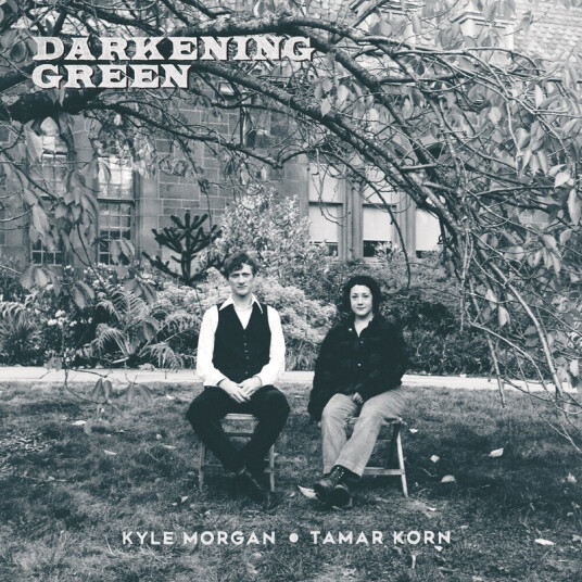 Darkening Green Darkening Green