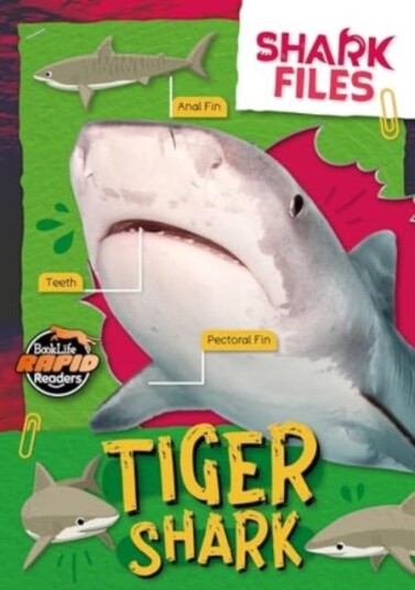 Tiger Shark Tiger Shark