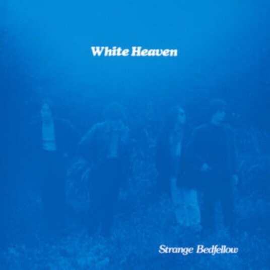 White Heaven Strange Bedfellow Uk Vinyl