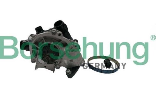 Borsehung B11210 Vannpumpe Borsehung B11210 Vannpumpe