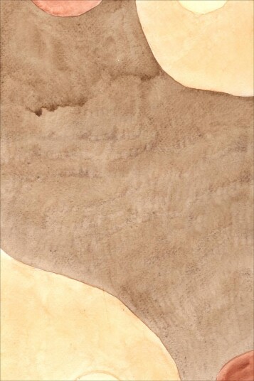Wilton teppe Nisa brun/beige Size: 180 x 270 cm Wilton teppe Nisa brun/beige Size: 180 x 270 cm