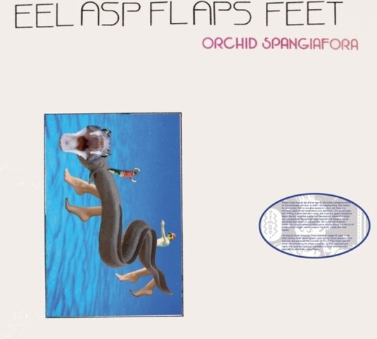 Eel Asp Flaps Feet Vinyl