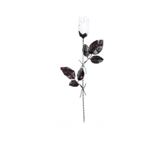 Blomster Til Halloween Hvit Rose Blomster Til Halloween Hvit Rose