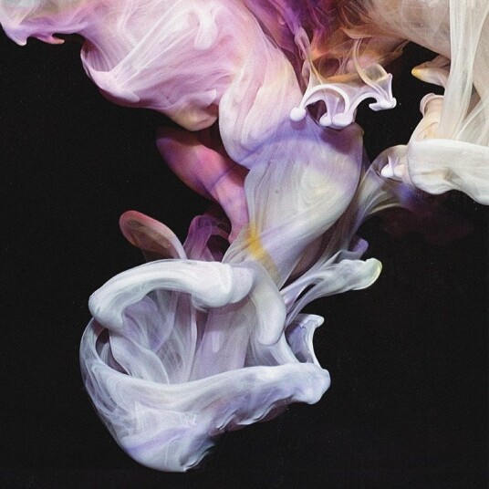 Simian Mobile Disco Deep Throat Choir Murmurations Vinyl