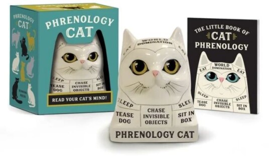 Phrenology Cat Av Marlo Scrimizzi
