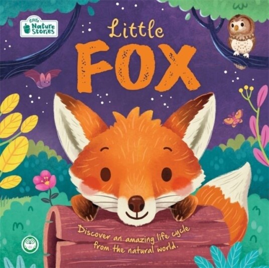 Little Fox: Little Nature Stories Little Fox: Little Nature Stories