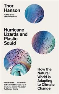 Hurricane Lizards And Plastic Squid Av Thor Hanson
