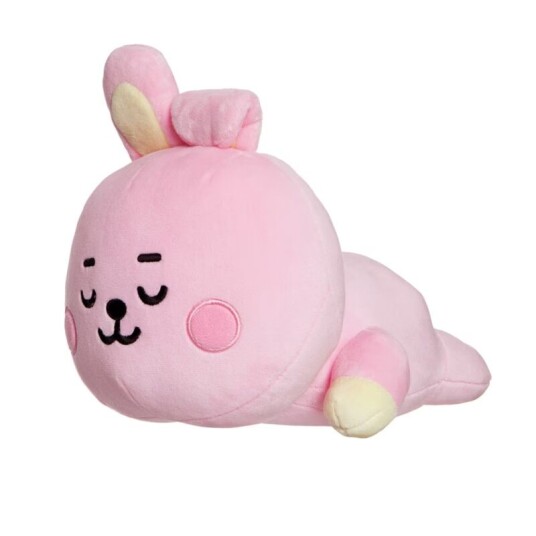Line Friends Bt21 - Plysjpute 28 Cm Cooky Baby