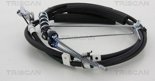 Bremsewire TRISCAN 8140 161161