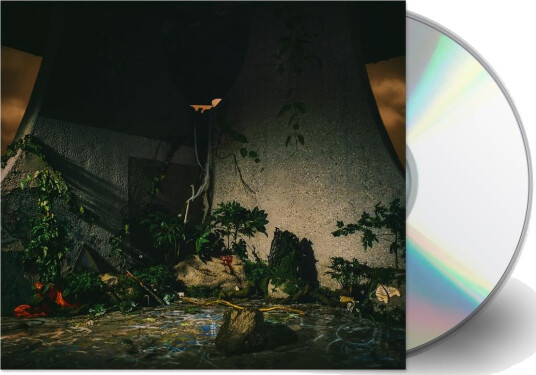 The Plot In You The Plot In You CD